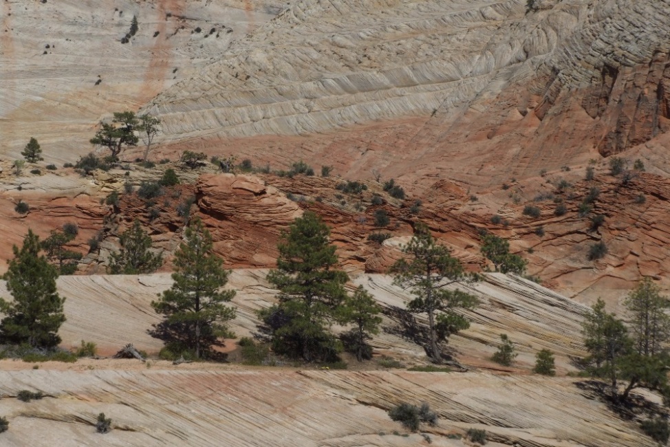 DSCF6902.JPG