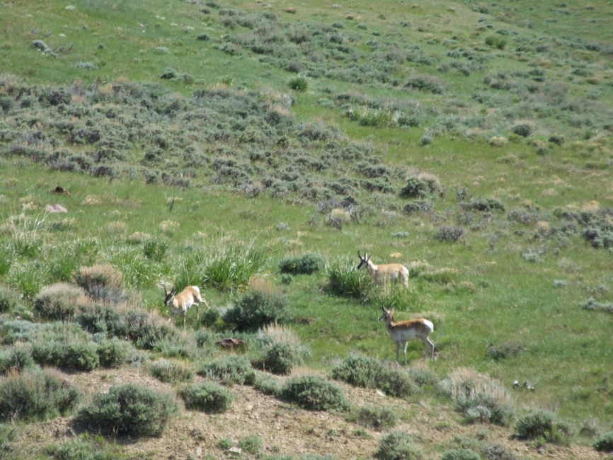 DSCF8110.JPG
