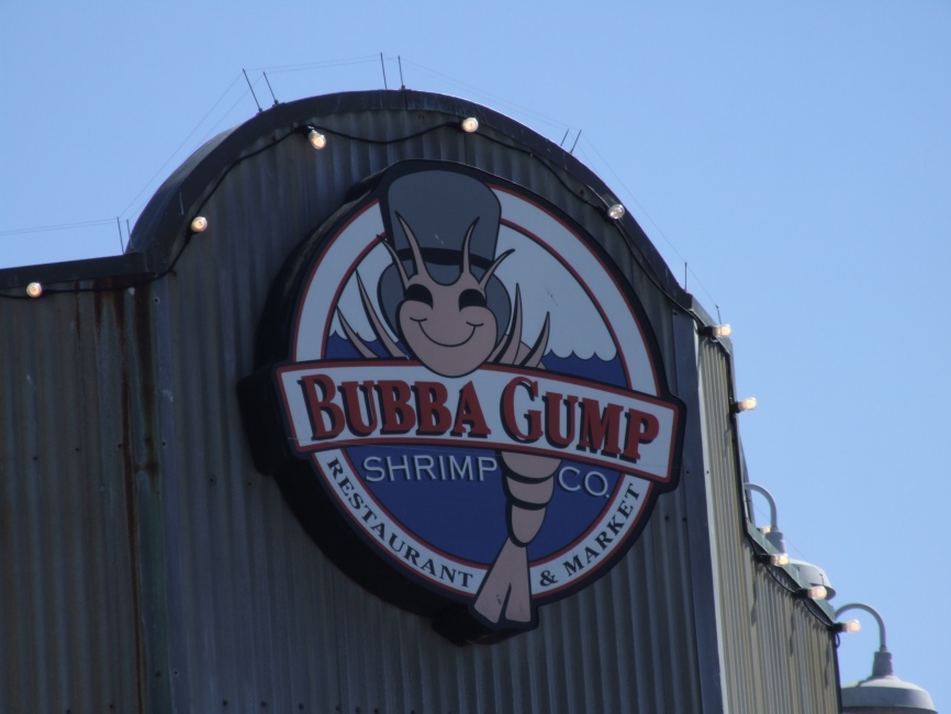 DSCF8908.JPG