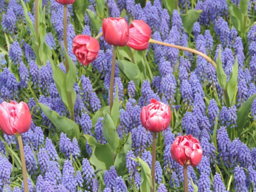 DSCN8381.JPG