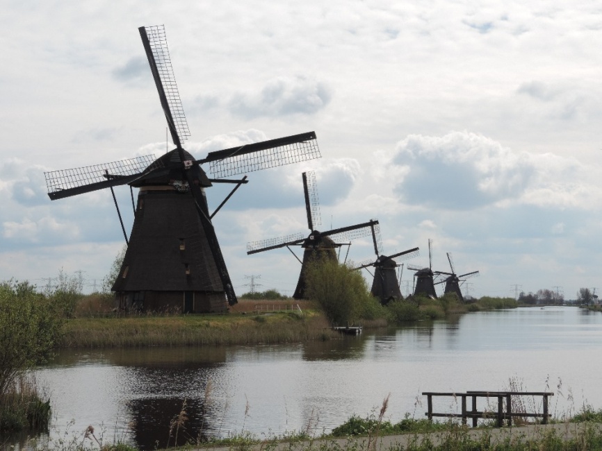 DSCN8486.JPG